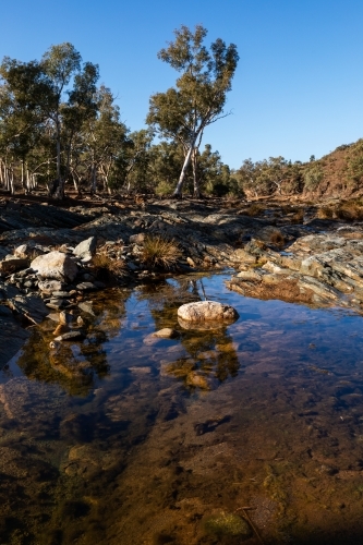 water in gum lined outback creek - Australian Stock Image