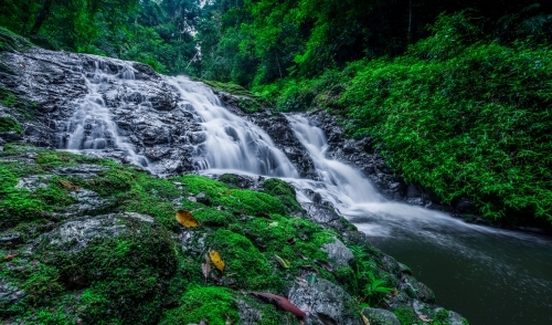 Waterfall over mossy green rocks - Australian Stock Image