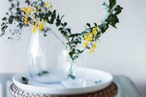 wattle in a vase - Australian Stock Image