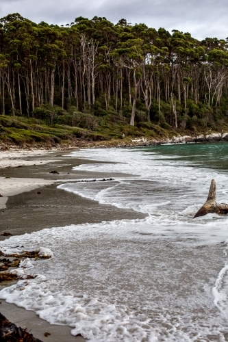 Waves smooth the sand, creating reflections on a wild and wooded beach scene - Australian Stock Image