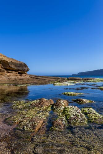 Whalers Cove - Australian Stock Image