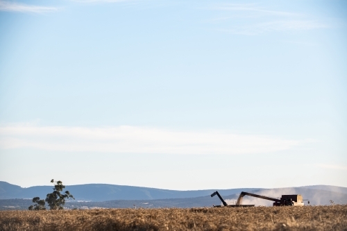 Wheat is unloaded during harvest operation - Australian Stock Image