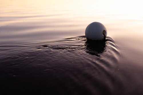 White buoy floating on water in evening - Australian Stock Image