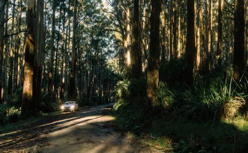 White Car Parked on Mountain Road near Healesville - Australian Stock Image