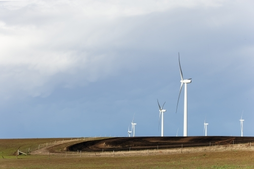 Wind farm in cropped paddock