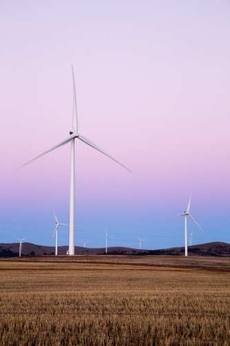 Wind turbines against evening sky - Australian Stock Image