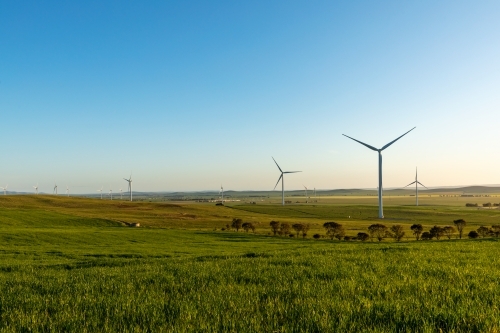 wind turbines in farm land in afternoon light - Australian Stock Image