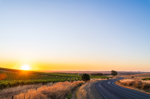 winding road through Barossa Valley wine region, Tanunda, South Australia - Australian Stock Image