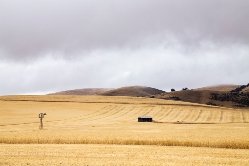 windmill and shed paddock under stormy skies - Australian Stock Image