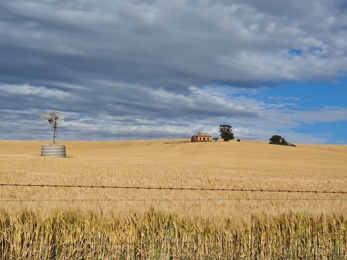 windmill, tank and ruin in golden paddock - Australian Stock Image