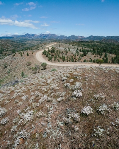 Windy dirt road leading through the Flinders Ranges - Australian Stock Image