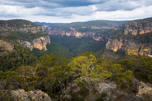 Wolgan Valley - Australian Stock Image