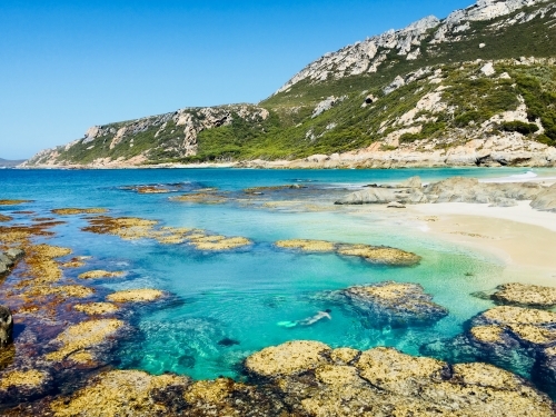 Woman snorkelling in crystal clear lagoon in remote coastal location - Australian Stock Image