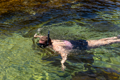 Woman snorkelling in the Australian summer sun - Australian Stock Image
