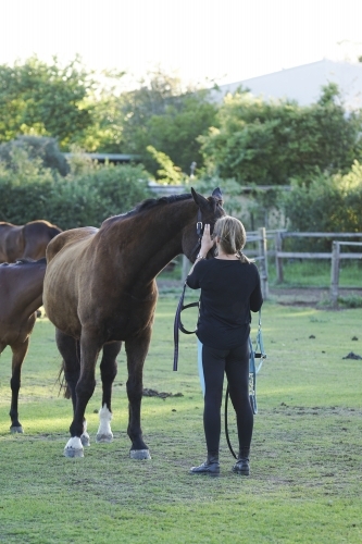 Woman standing with horses in paddock - Australian Stock Image