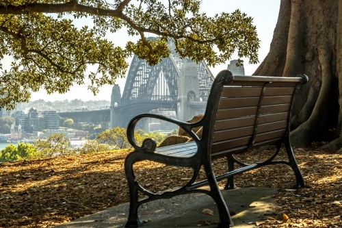 Wooden bench seat overlooking Sydney Harbour - Australian Stock Image