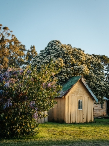 Wooden shed nestled within a lush garden. - Australian Stock Image