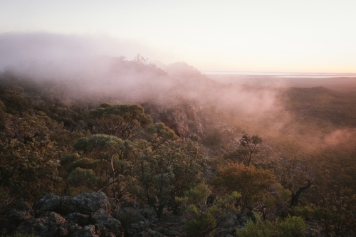 Woodland bush around Helena Aurora Range in outback Western Australia - Australian Stock Image