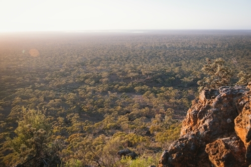 Woodland bush around Helena Aurora Range in outback Western Australia - Australian Stock Image