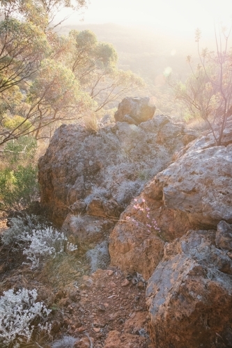 Woodland bush around Helena Aurora Range in outback Western Australia - Australian Stock Image