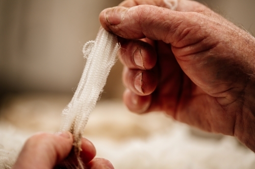 Wool in farmers hands