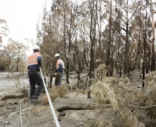 Workmen repairing power lines in bushfire ravaged landscape - Australian Stock Image