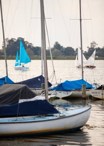Yacht racing and moored yachts at a lake - Australian Stock Image
