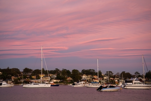 Yachts at mooring in Gunnamatta Bay at dawn - Australian Stock Image