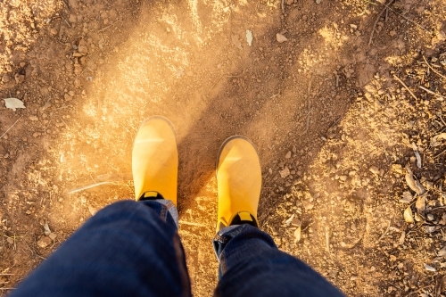 yellow boots work by woman in jeans looking down on dusty dry land with soft fluffy dirt - Australian Stock Image