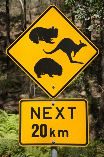 Yellow road sign warning of native animals next 20 km - Australian Stock Image