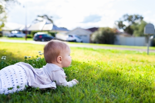 young baby outside on front lawn grass in spring with copy space - Australian Stock Image