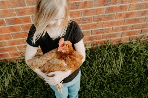 Young blonde girl holding her pet chicken looking at the chicken - Australian Stock Image