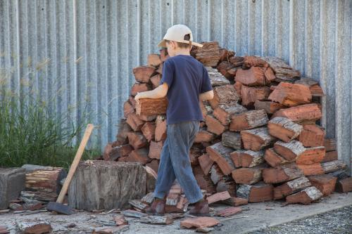 Young boy carrying wood to chop - Australian Stock Image