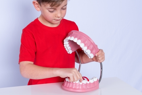 Young boy learning to floss teeth on oversized tooth model - Australian Stock Image