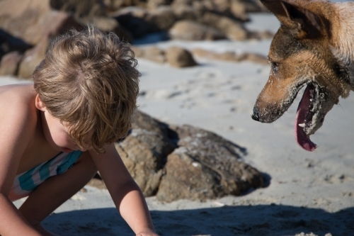 Young boy playing in the sand with dog looking on - Australian Stock Image