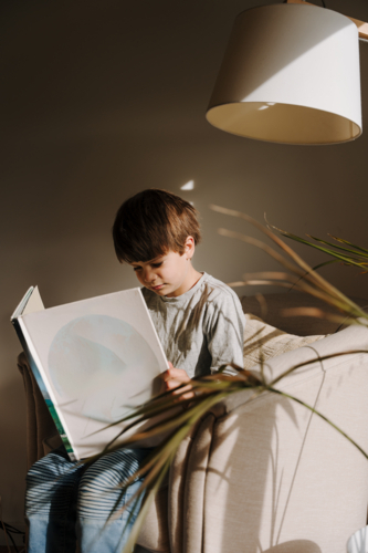 Young boy reading a book on the couch in a sunlit room. - Australian Stock Image