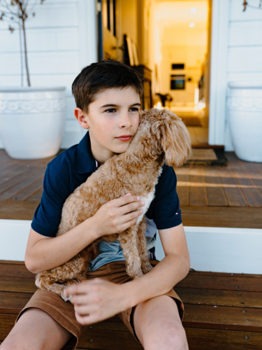 Young boy sitting on a wooden floor holding a light brown dog. - Australian Stock Image