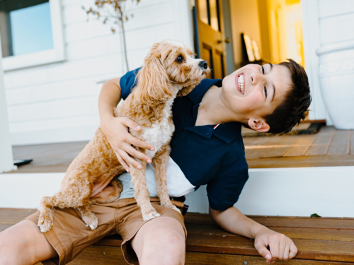 Young boy sitting on a wooden floor holding a light brown dog. - Australian Stock Image