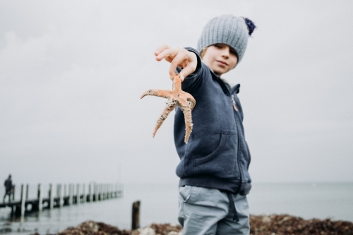 Young boys discover Starfish - Australian Stock Image