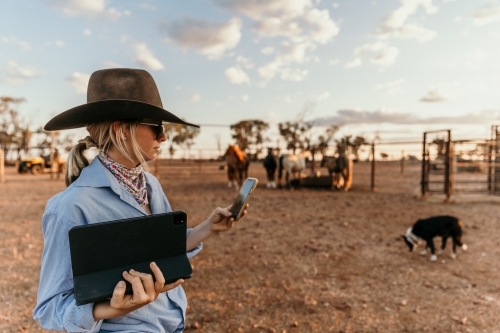 Young cowgirl using her phone and tablet at the farm - Australian Stock Image