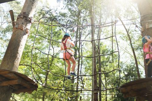 Young girl climbing a climbing frame at a park