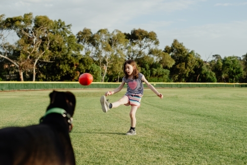 Young girl kicking a Australian Rules Football at an oval football field with her Greyhound pet dog - Australian Stock Image