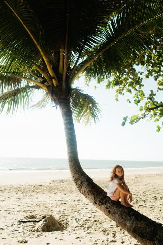 Young girl sitting in a palm tree at the beach - Australian Stock Image