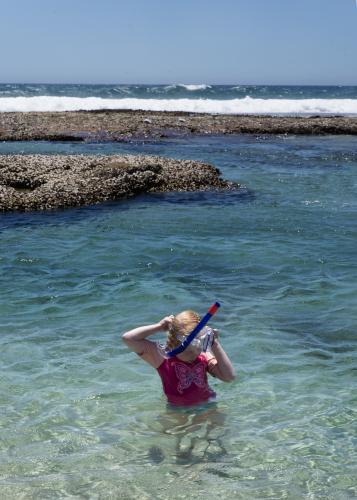 Young Girl Snorkling - Australian Stock Image