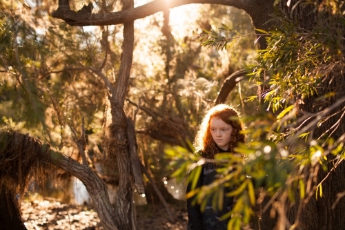 Young girl standing among trees in afternoon light - Australian Stock Image