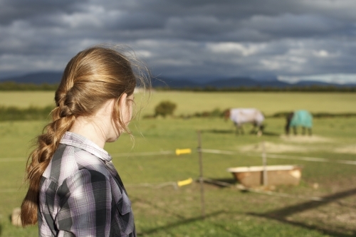 Young girl watching horses at horse riding farm
