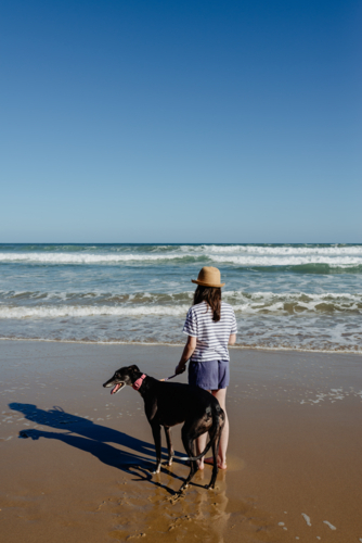 Young girl wearing a sunhat with her pet greyhound dog on a dog friendly beach in the afternoon - Australian Stock Image