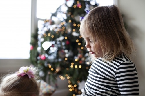 Young girls in front of Christmas tree - Australian Stock Image