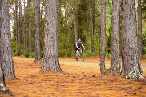 Young male cycling along a parkland bike path - Australian Stock Image