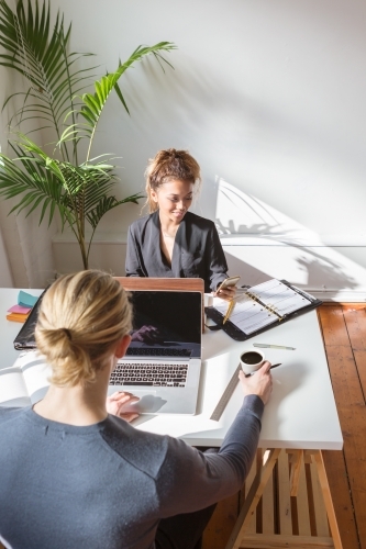 Young professional woman reading her phone at a shared desk at work - Australian Stock Image